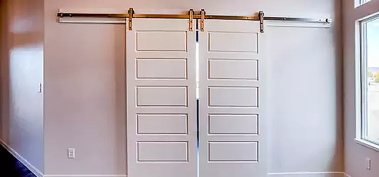 Glass Barn Door with Installation Hardware Kit Shaker Heights