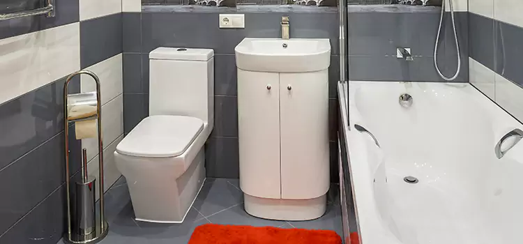 Hansgrohe Shaving Mirror Shaker Heights